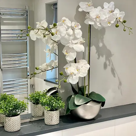 The Balmoral Close To The Racecourse Nyaraló