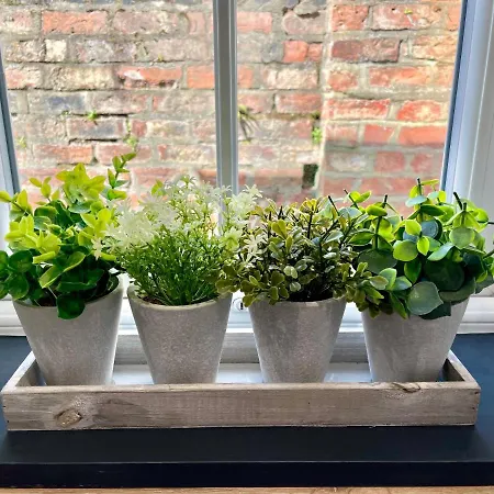 The Balmoral Close To The Racecourse بيت للعطل